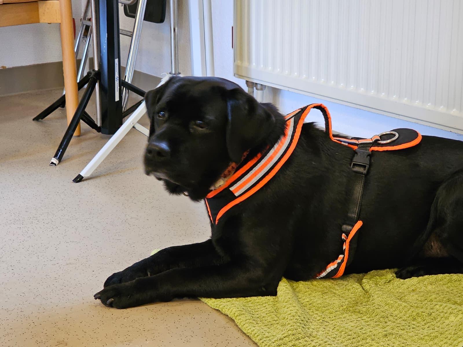 0b9b4e24-83ba-4363-be1a-ce8c14b9d1a5