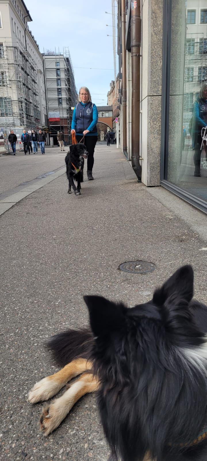 2237ffd7-443b-4b26-90e5-1588666b59fc