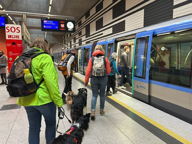 291d969c-b547-4d51-b40d-843231a01d74