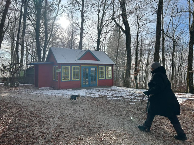 2b658ea9-3a0e-4ee2-b3f5-836bcd8ce241