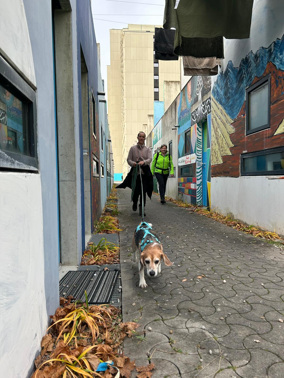 2c929142-c47a-4500-9e49-b580db353439