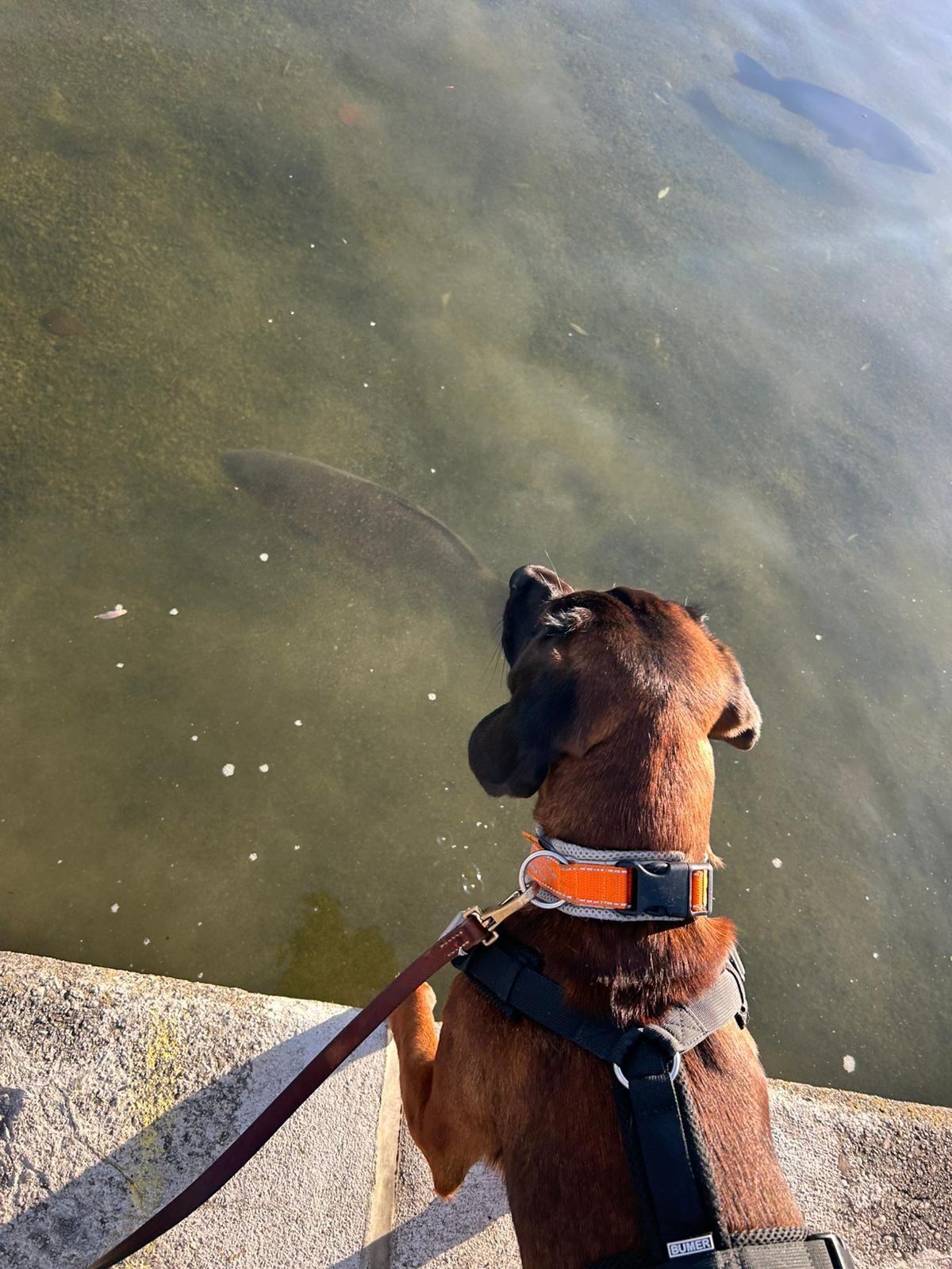 5add7854-d435-40f4-b3f8-f81c62ded353