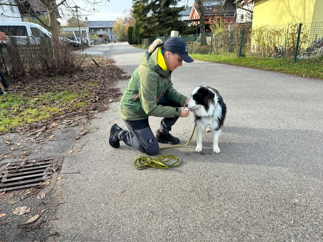 6654eb10-62a1-4cb3-a0c5-36a922516a8c