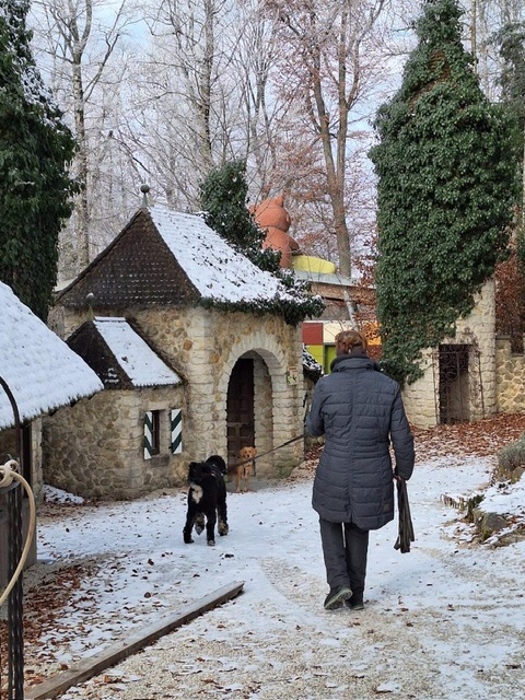 7f6cc836-0c42-4eda-8689-71f06bd46ade