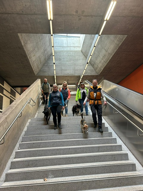 81380fb1-c935-4ac0-a4f9-8bab744f9d77