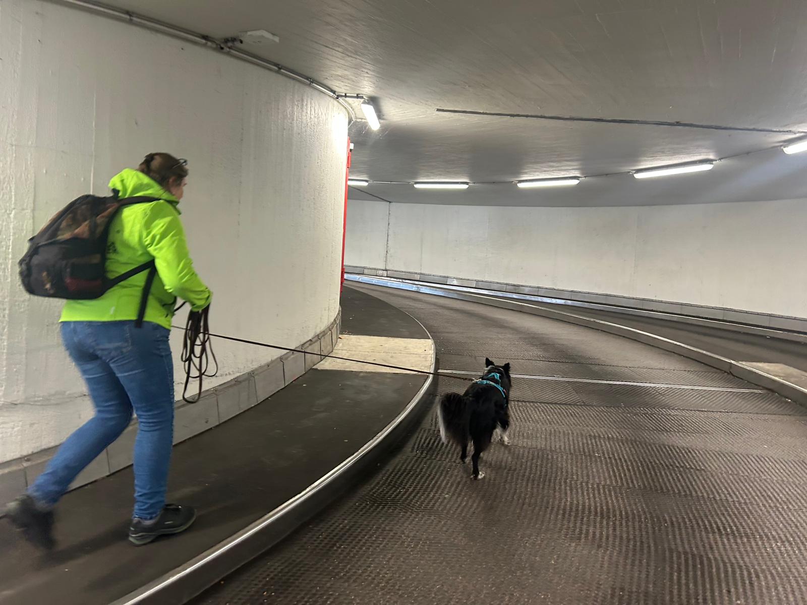 94af638e-3b04-4754-8103-6a6ed1f53959