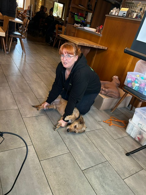 B03AA1C5-266A-44CC-B703-9874A412D4B3