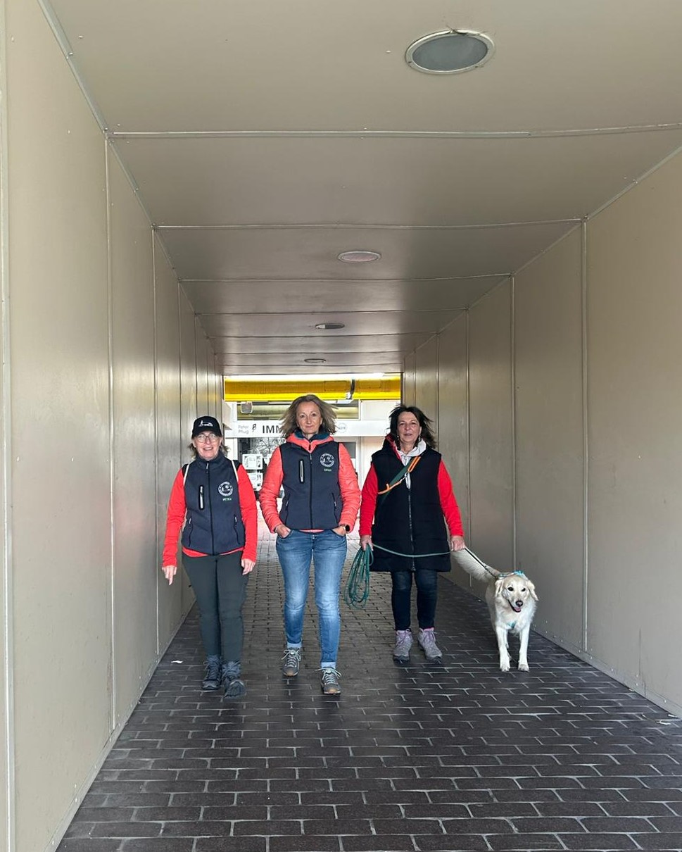 a45b6053-29aa-4b46-8f5c-94ade4e9badf