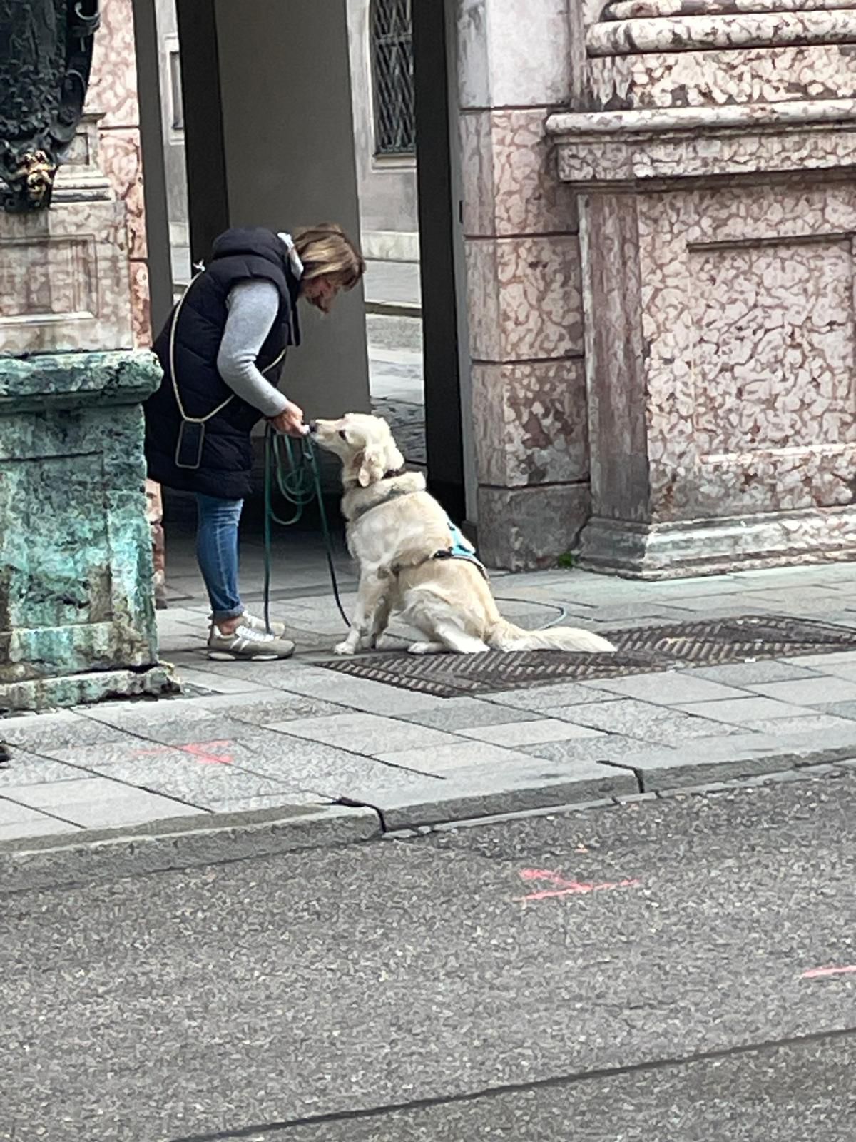 f1458bef-0beb-4255-83dc-4f920eb85de5