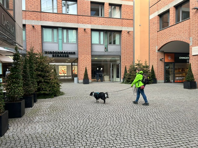 f6fb6673-e5d7-484e-bb30-5f3304668c44